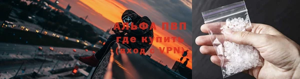 ALPHA PVP Елизово