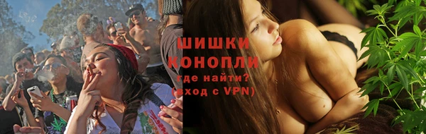 ALPHA PVP Елизово