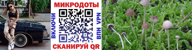 Купить где  Сенгилей  Псилоцибиновые грибы мицелий 
